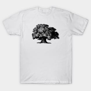 Tree T Shirts for Sale TeePublic